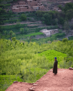 My Berber friend