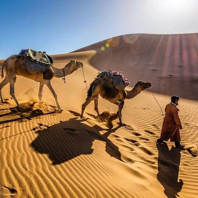 camel riding in Morocco 