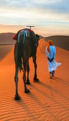 Morocco desert tour