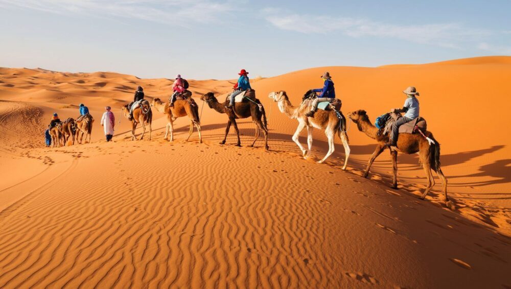 Reputable Morocco Travel Agency - camel riding in morocco