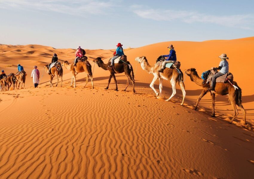 Reputable Morocco Travel Agency - camel riding in morocco