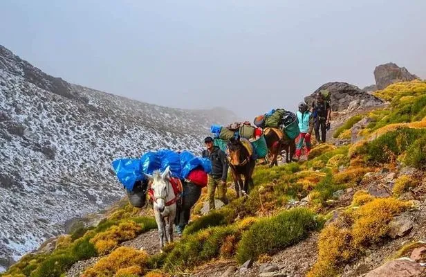 Berber villages Trek - MT Toubkal Trek - morocco trekking