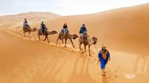 marrakech desert tours - MT Toubkal Trek - camel treks in morocco