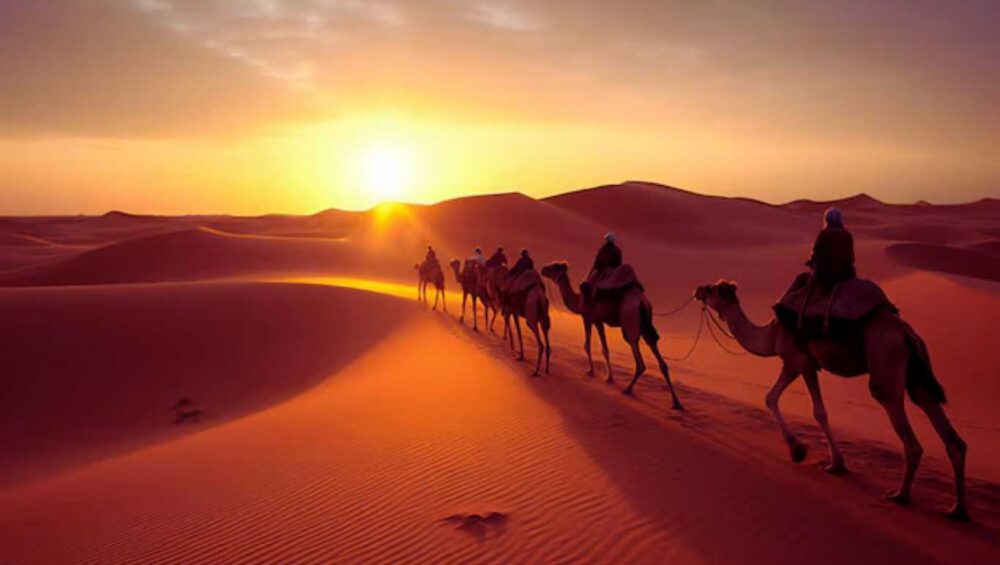 Morocco Camel Trek
