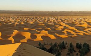 Morocco Camel Trek