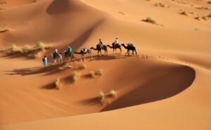 Morocco Camel Trek