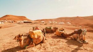 Agafay Desert Morocco