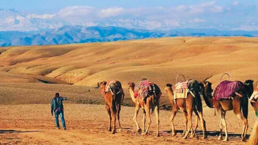 Agafay Desert Morocco
