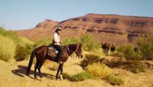 Agafay Desert