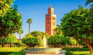 Attraction in Marrakech