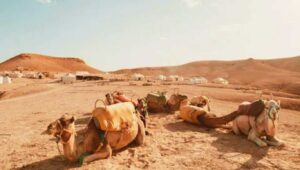 Agafay Desert