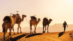 Agafay Desert