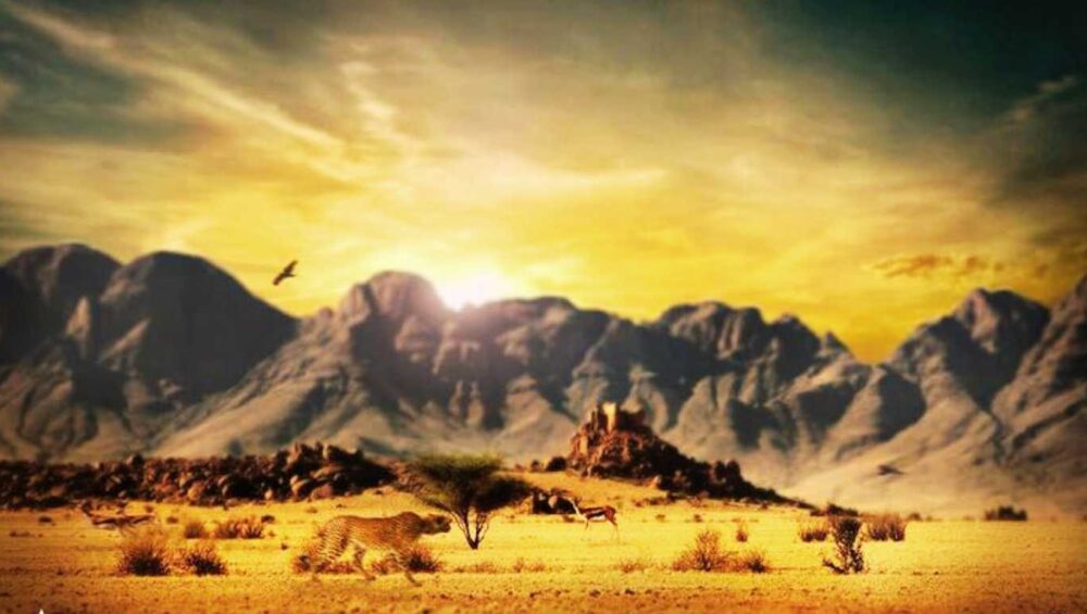 Wildlife of the Desert