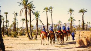 Animals at Desert
