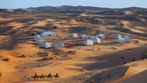 Animals the Desert