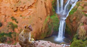 Ouzoud Falls
