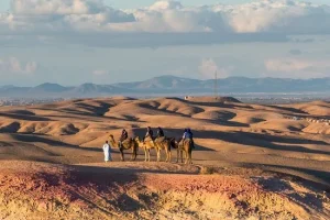 Marrakech in February