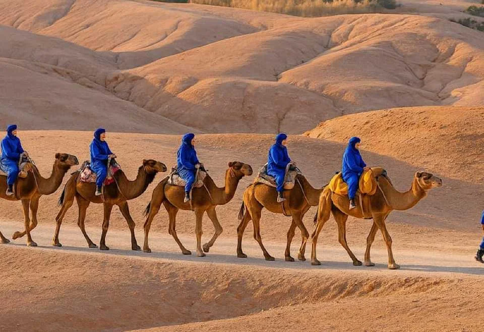 2 Day Desert Tour from Marrakech Marrakech to Fes desert tour