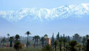 Temperature in Marrakech in February