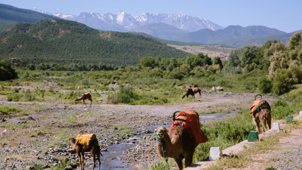 Atlas Mountains Map