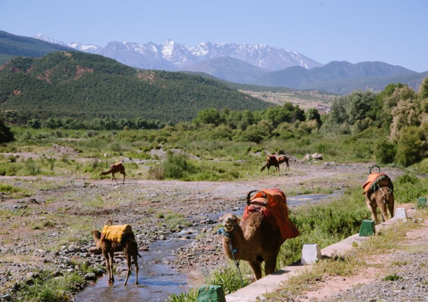 Atlas Mountains Map