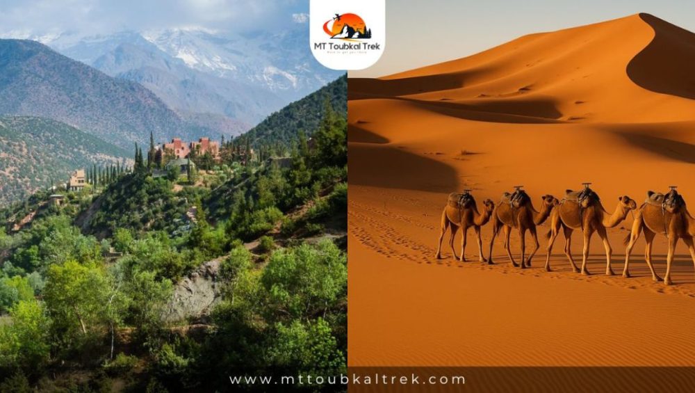 Atlas Mountains vs Sahara Desert