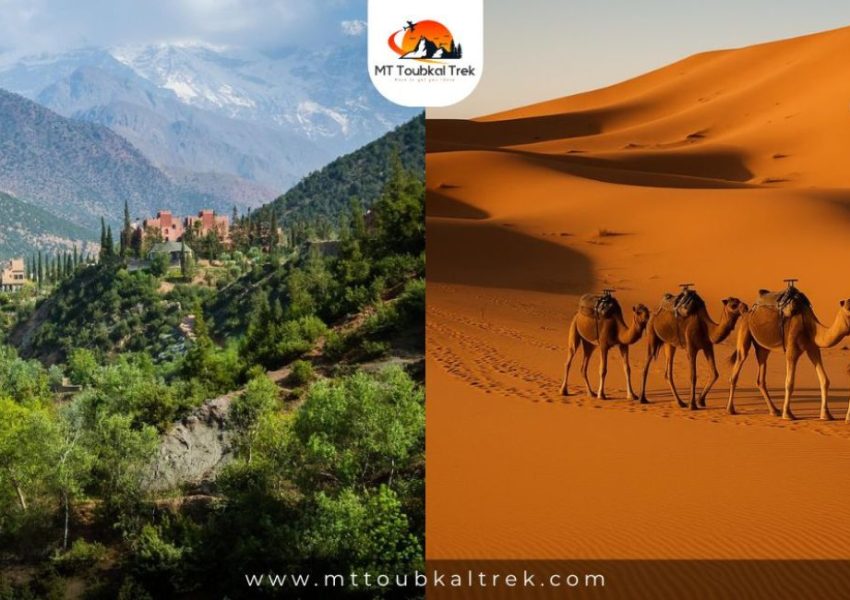 Atlas Mountains vs Sahara Desert