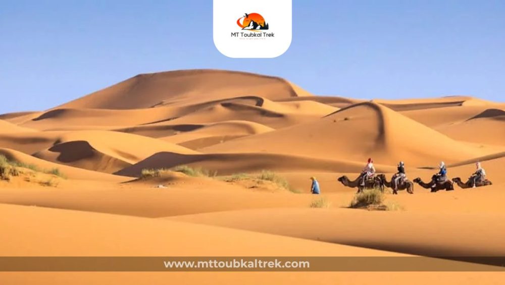 best time to visit merzouga desert