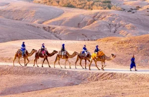 Agafay Desert Day Pass: Quad Biking, Camel Trek, Lunch & Luxury Pool