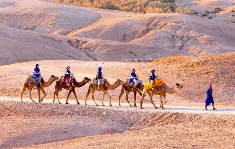 Agafay Desert Day Pass: Quad Biking, Camel Trek, Lunch & Luxury Pool