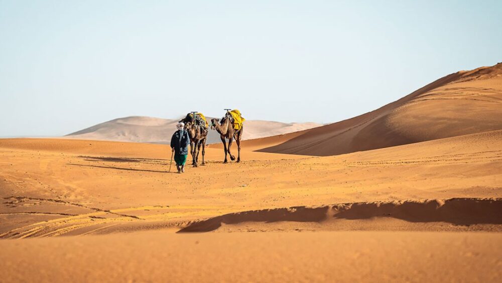 morocco atlas sahara itinerary : Atlas Mountains + Sahara Desert (2026)